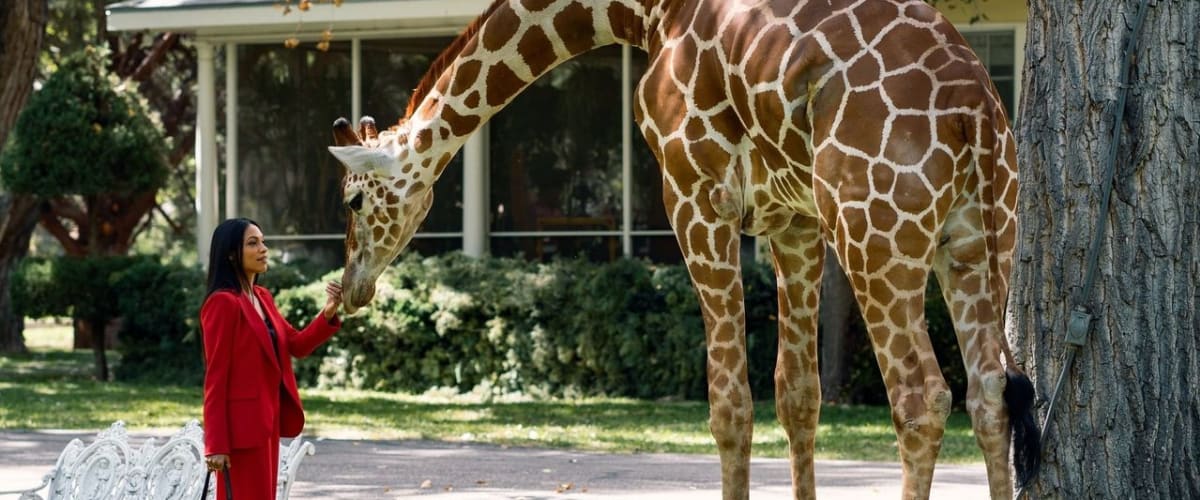 Watch Briarpatch - Season 1