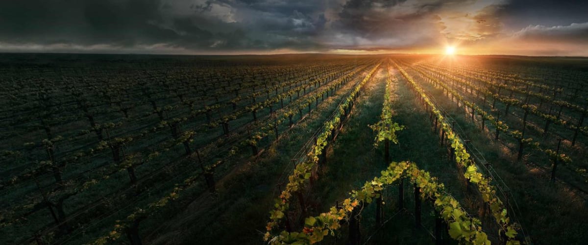 Watch Star Trek: Picard - Season 1