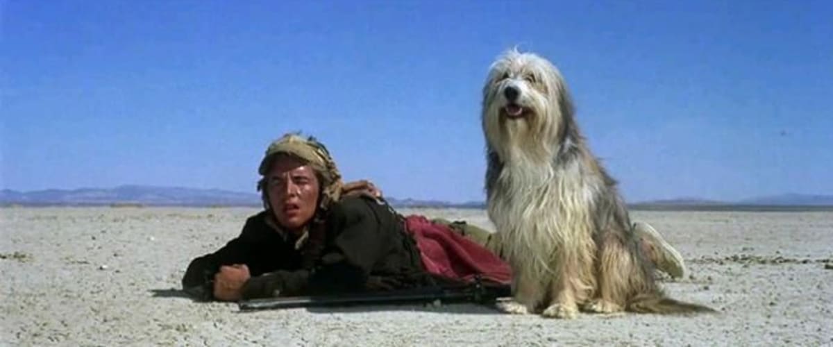 Watch A Boy and His Dog