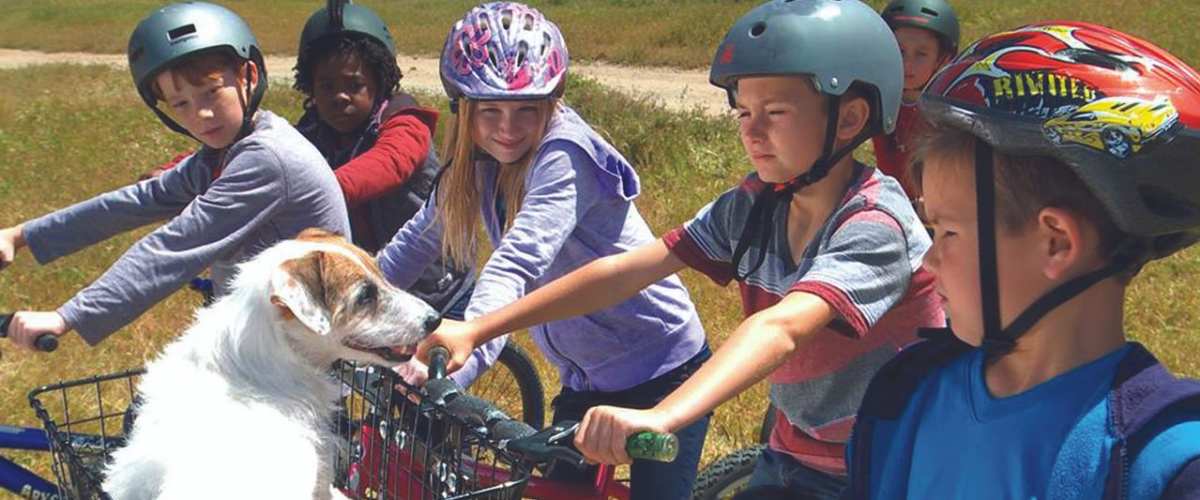 Watch A Doggone Christmas