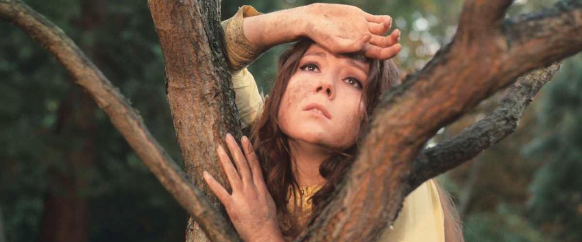 Watch A Midsummer Night's Dream