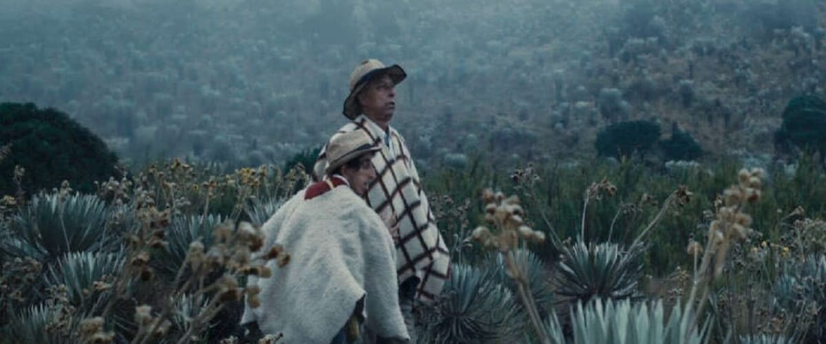 Watch A Vanishing Fog