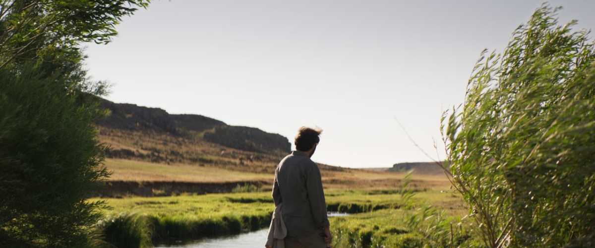 Watch About Dry Grasses