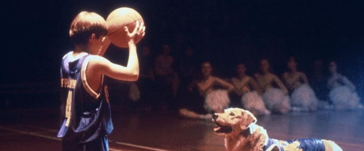Watch Air Bud