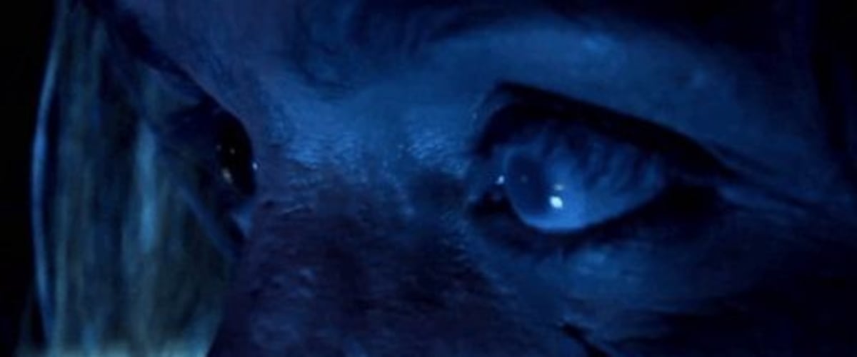 Alien Implant: The Hunted Must Become the Hunter