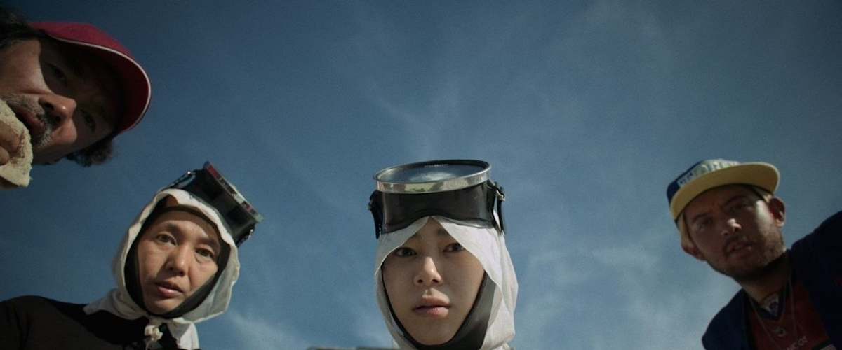 All the Songs We Never Sang