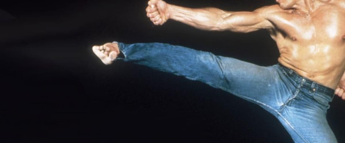 Watch American Ninja 3: Blood Hunt