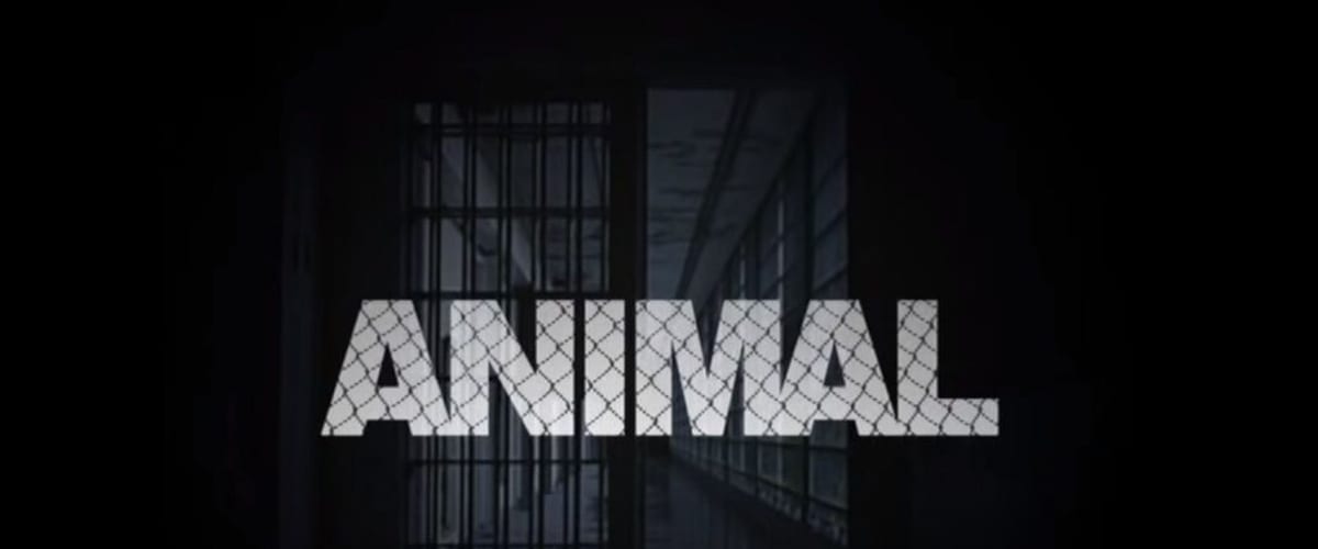 Watch Animal