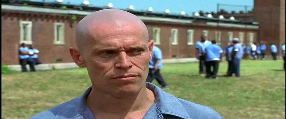 Watch Animal Factory