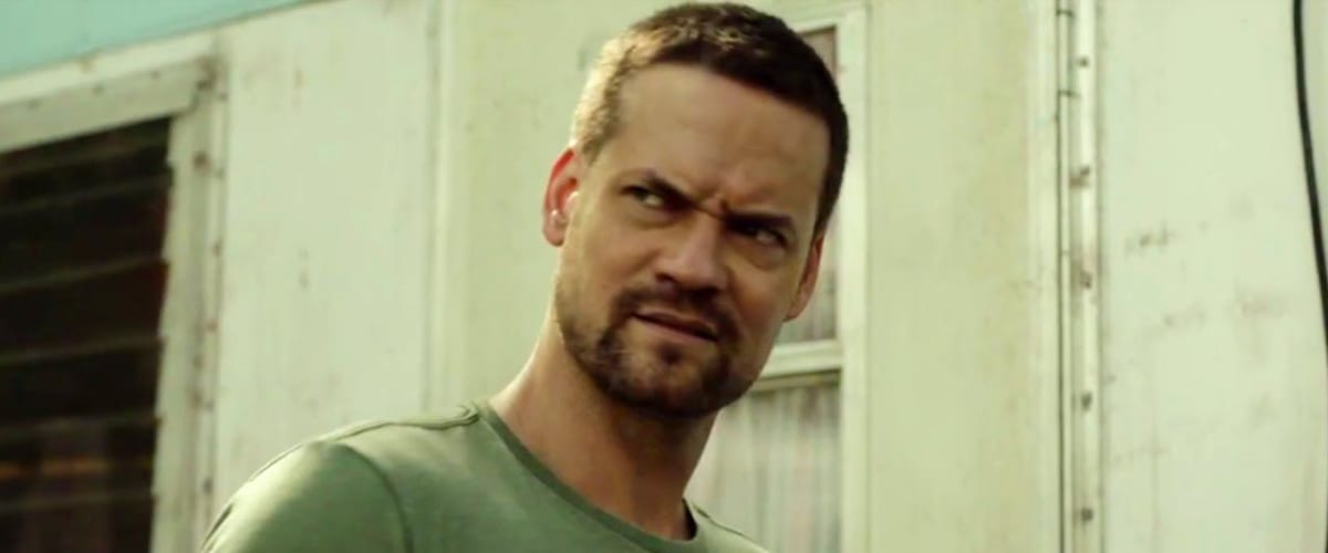 Awakening the Zodiac