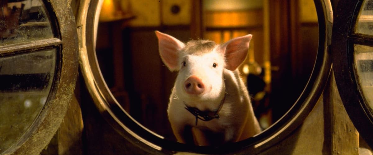 Watch Babe: Pig in the City