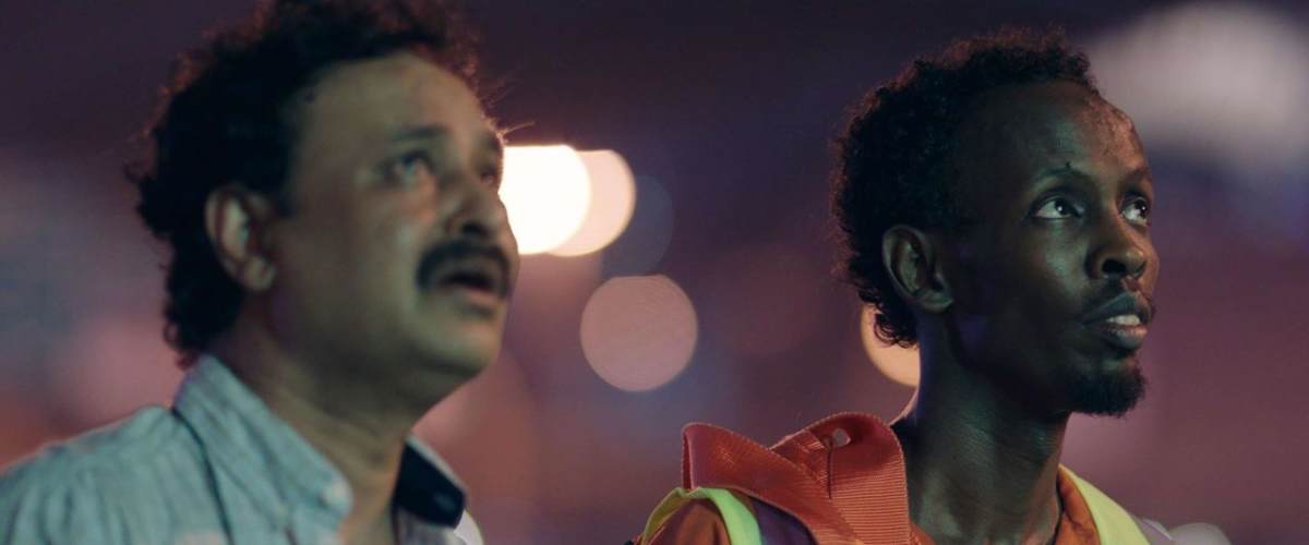 Beneath a Sea of Lights