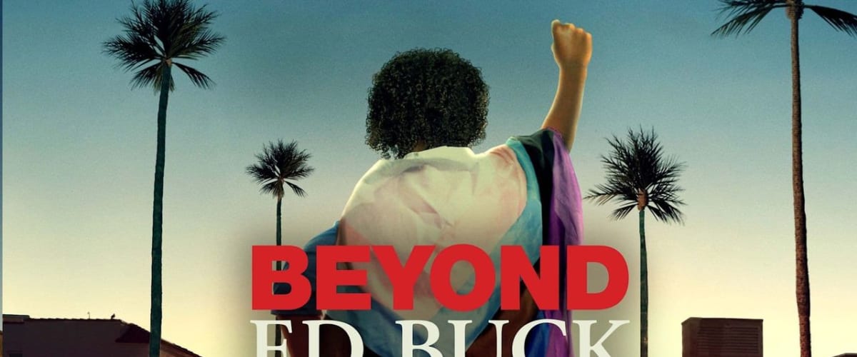 Beyond Ed Buck