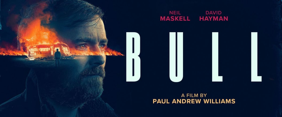 Watch Bull