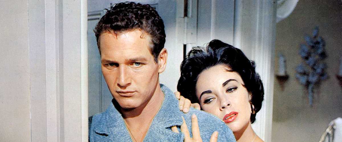 Cat on a Hot Tin Roof