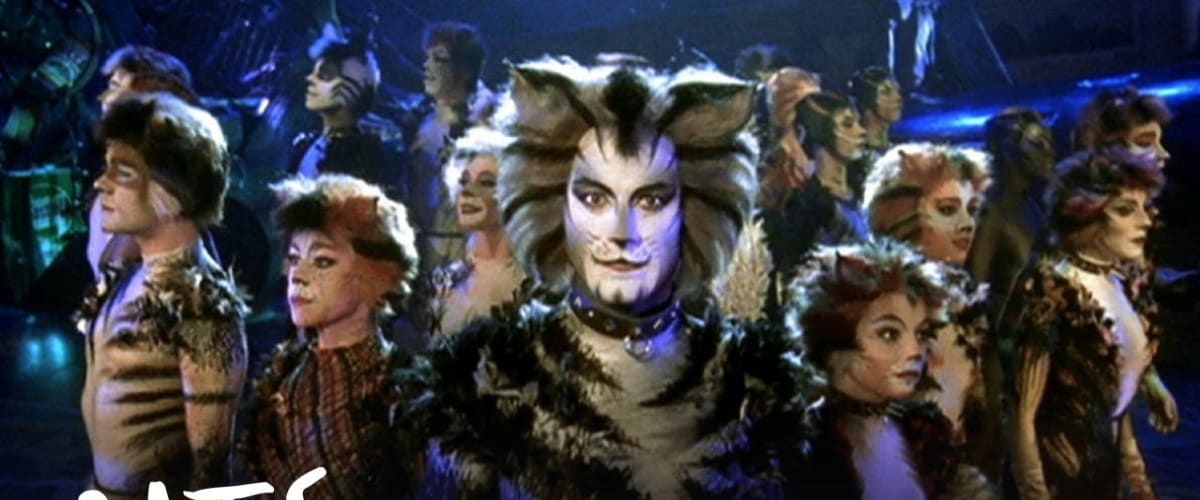Watch Cats