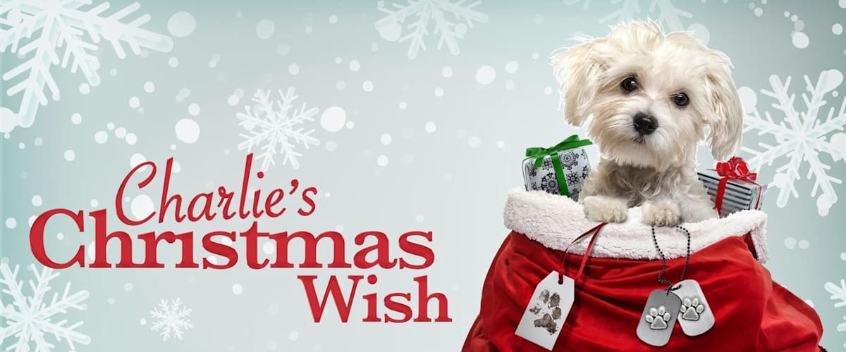 Charlie's Christmas Wish