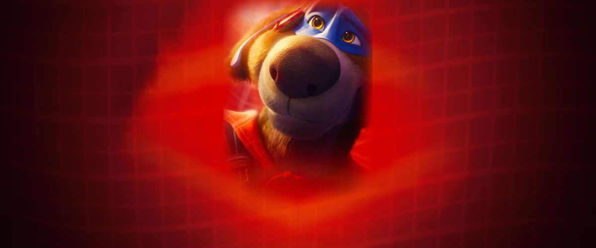 Watch Charlie the Wonderdog