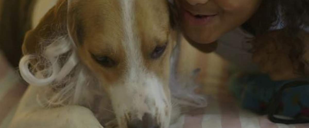 Clara's Ultimate Christmas