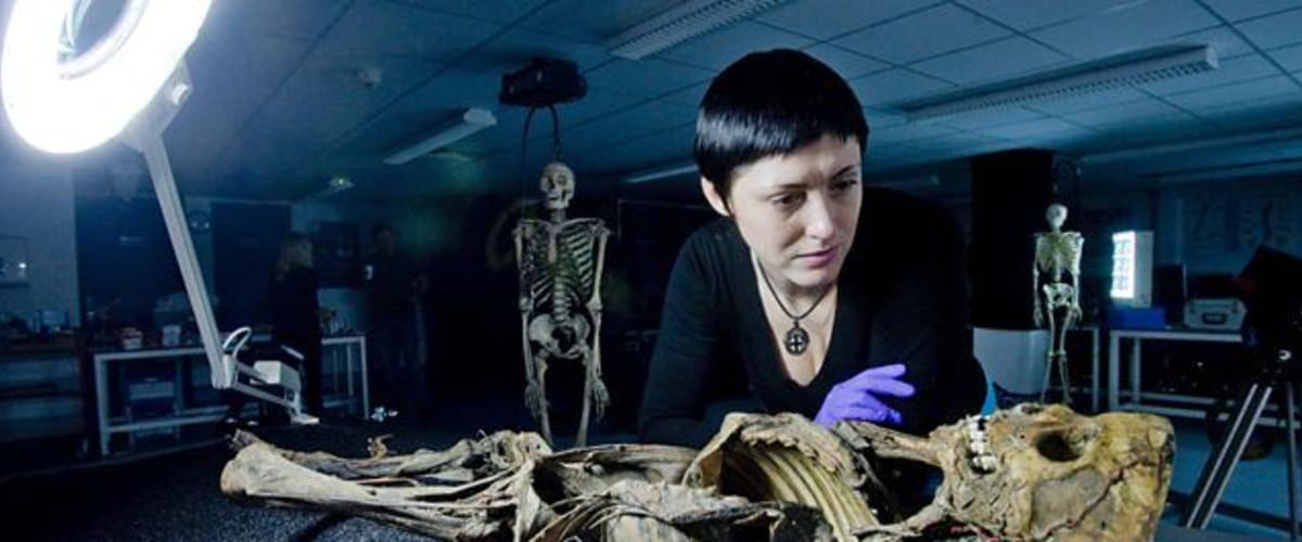 Cold Case - Season 6