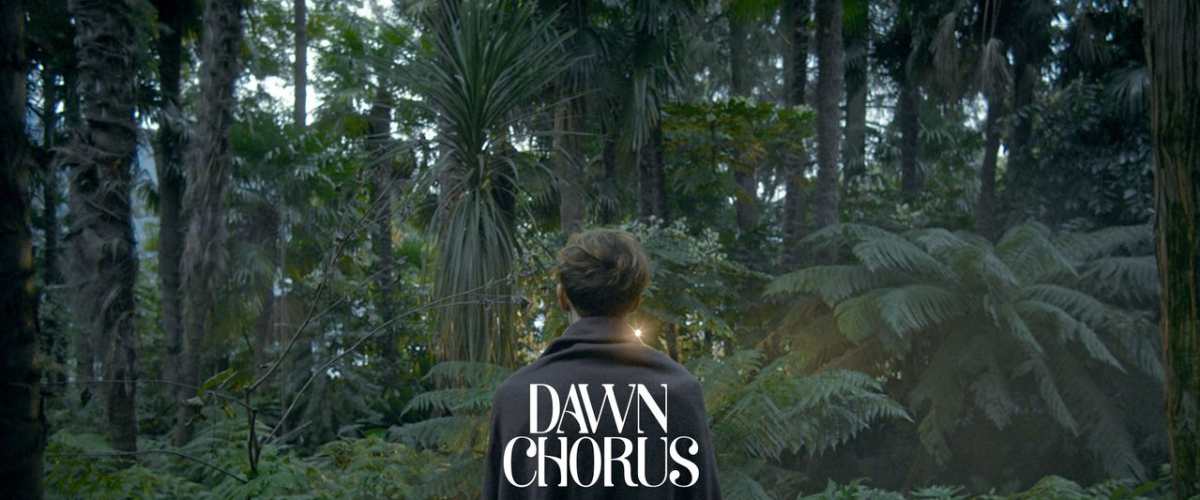 Watch Dawn Chorus