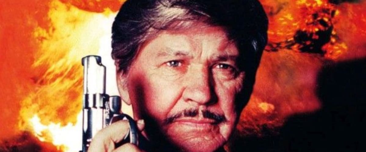 Watch Death Wish V: The Face of Death