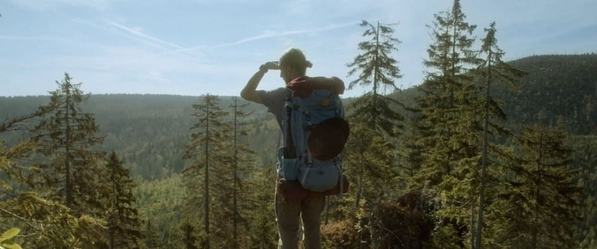 Watch Der Wilde Wald