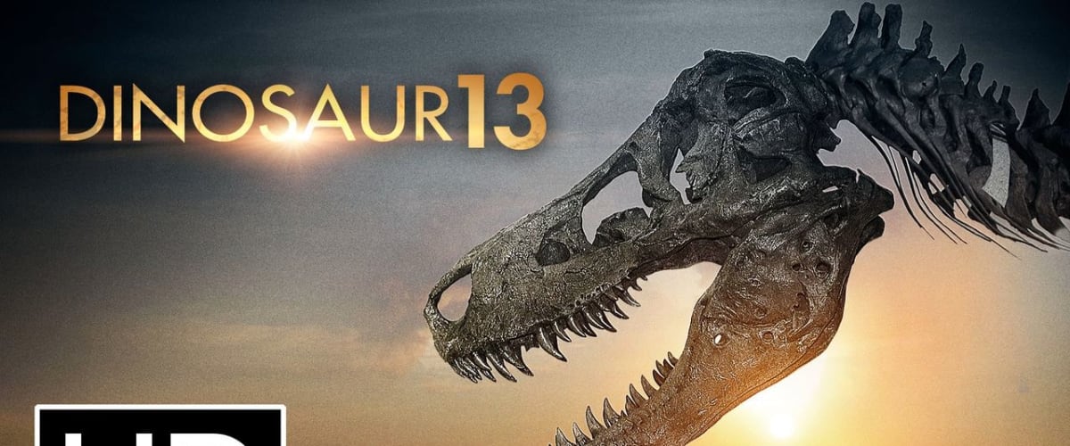Dinosaur 13