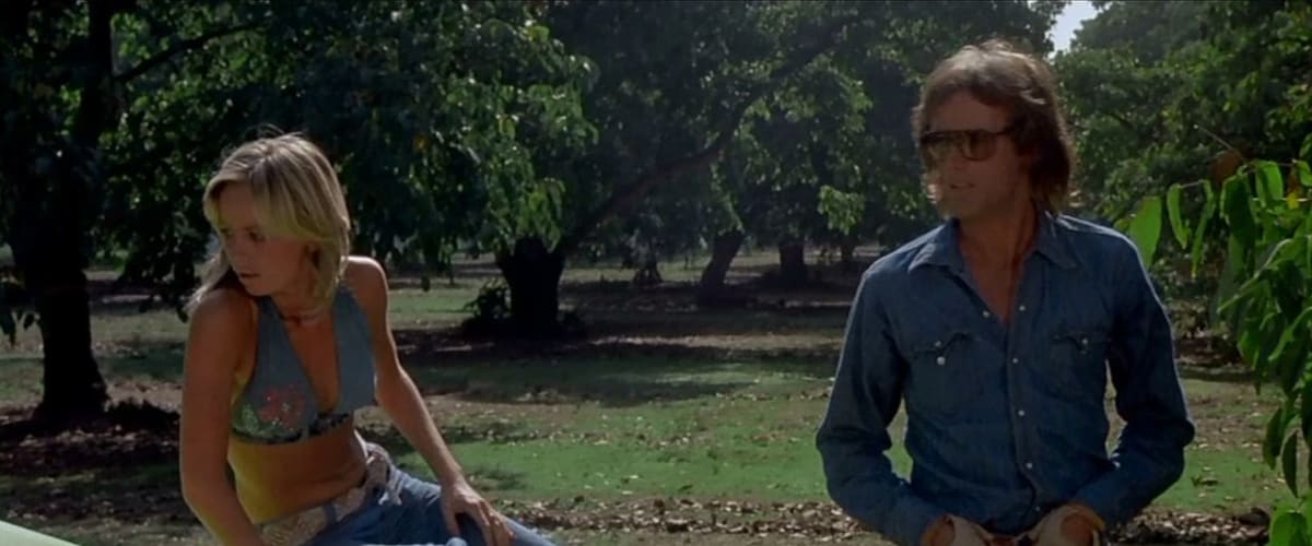 Watch Dirty Mary Crazy Larry