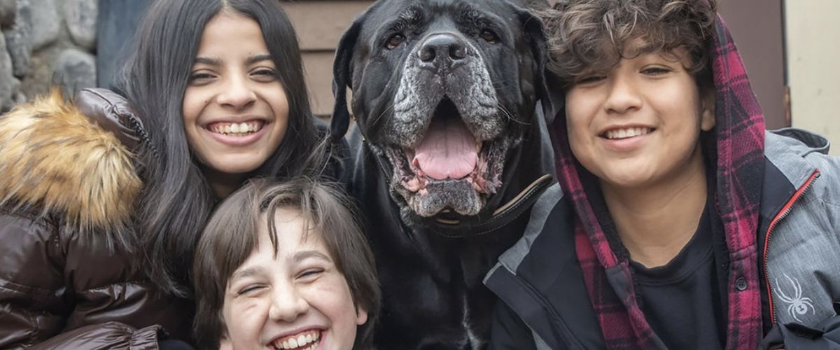 Dog Patrol: Operation Santa Paws