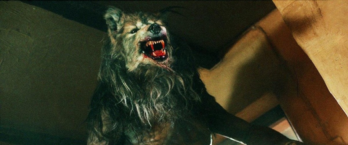 Dog Soldiers