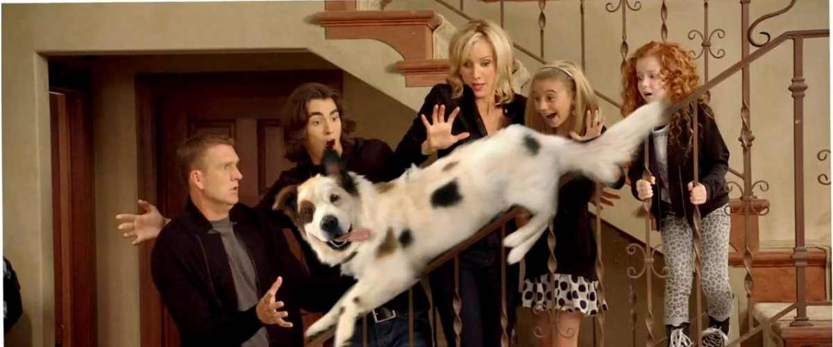 Dog with a Blog - Season 3