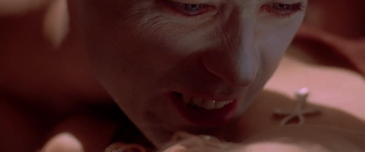 Embrace Of The Vampire