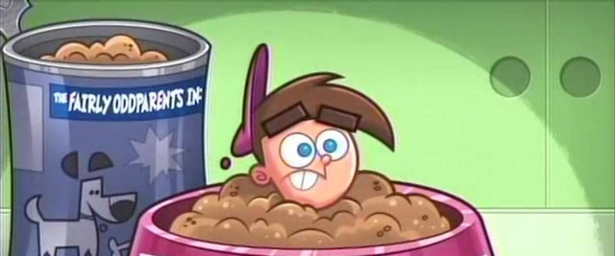 Watch Fairly OddParents - Season 5