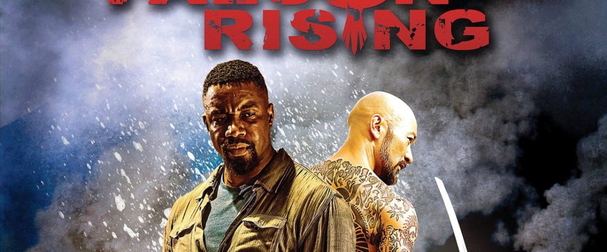 Watch Falcon Rising