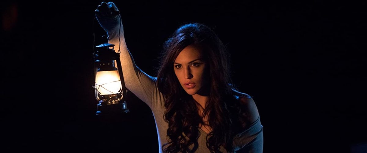 Watch False Witness
