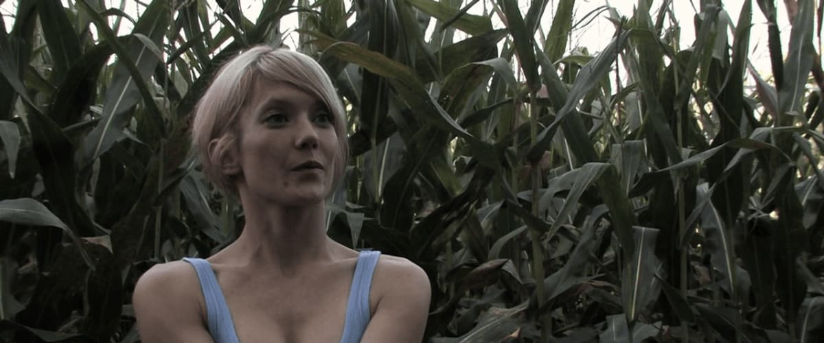 Watch Fields of the Dead