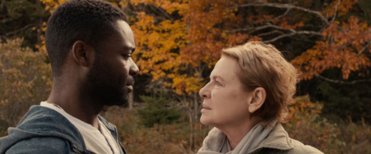 Five Nights in Maine