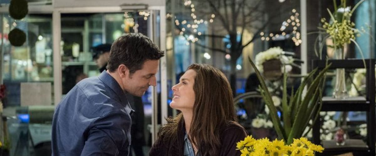 Flower Shop Mystery Mums the Word