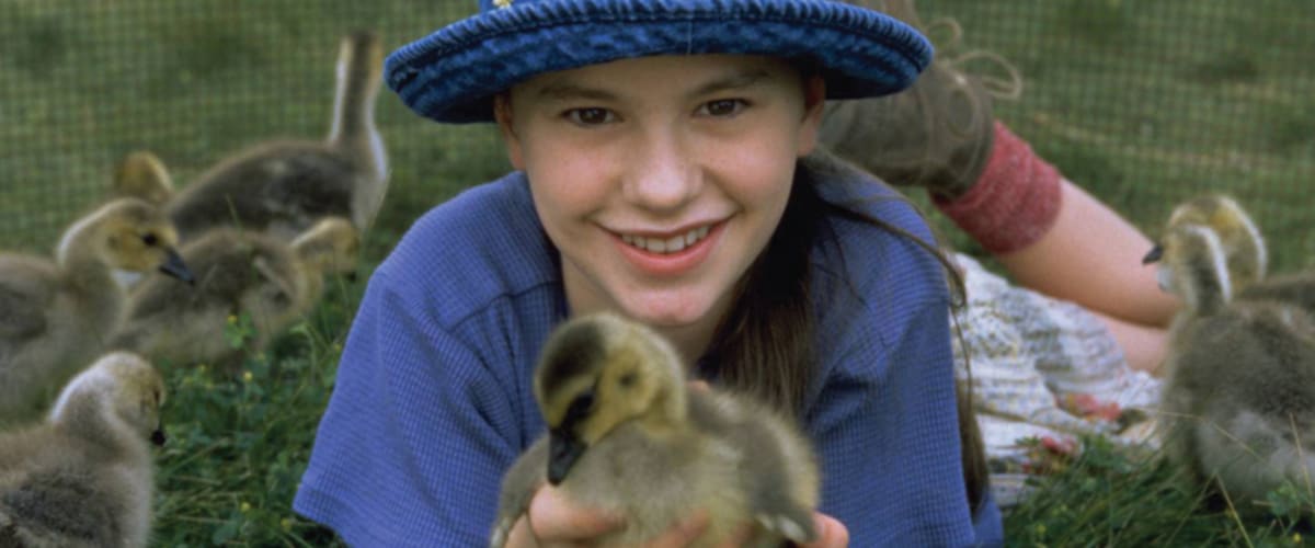 Watch Fly Away Home
