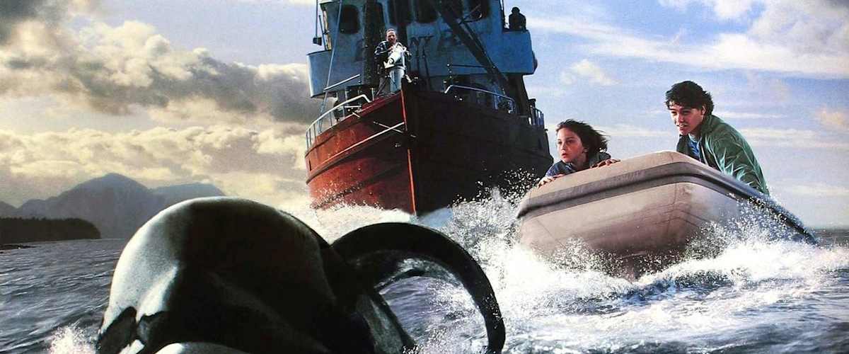 Free Willy 3: The Rescue