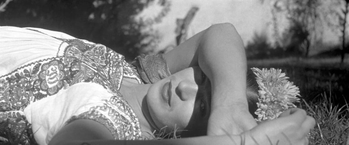 Watch Frida
