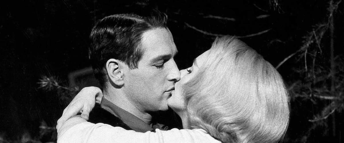 Watch From the Terrace