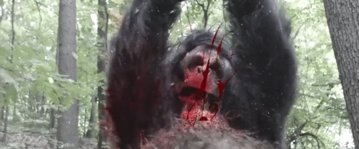 Frozen Sasquatch