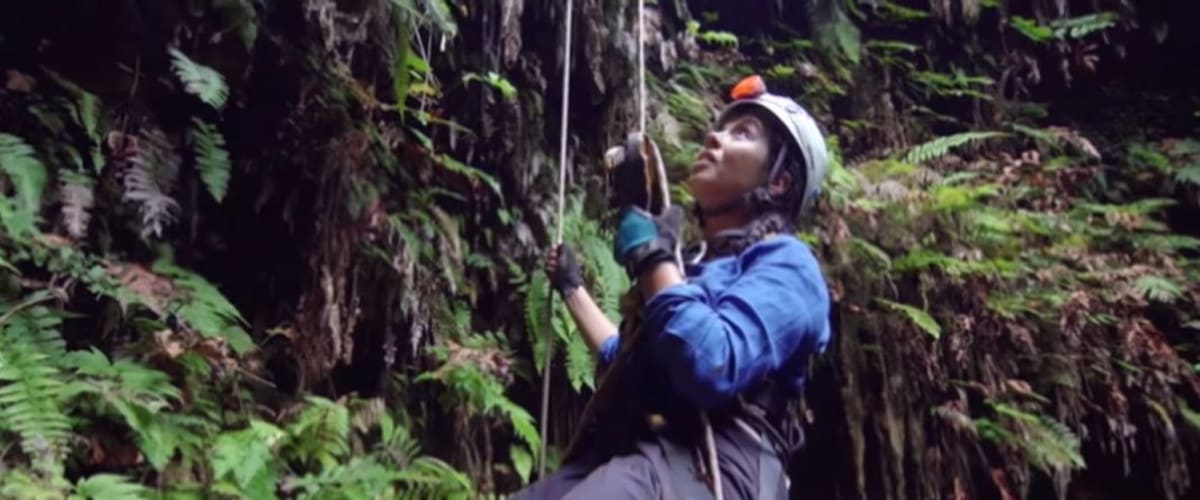 Watch Galapagos - Season 01