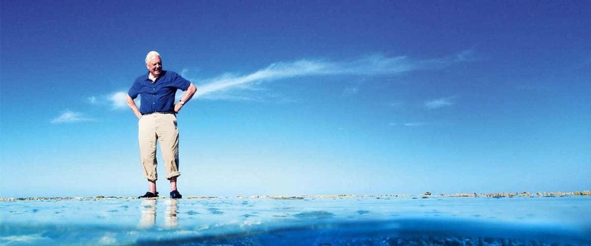 Great Barrier Reef with David Attenborough - Season 01