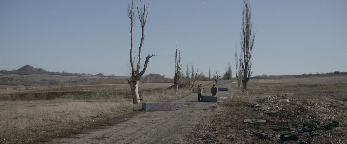 Watch Grey Bees