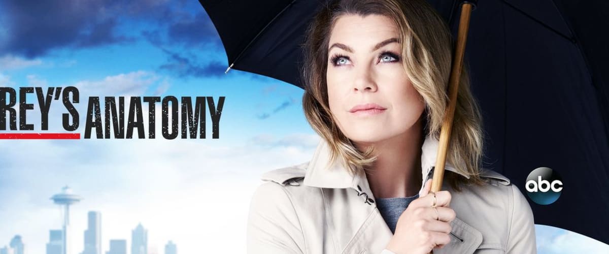 Watch Greys Anatomy - Season 12