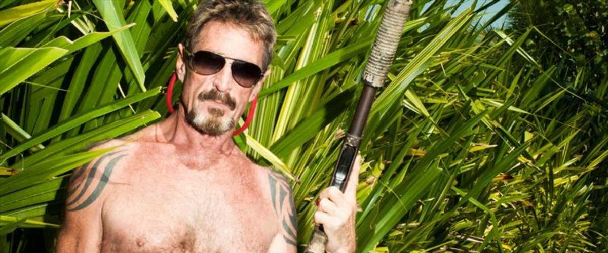 Gringo: The Dangerous Life of John McAfee