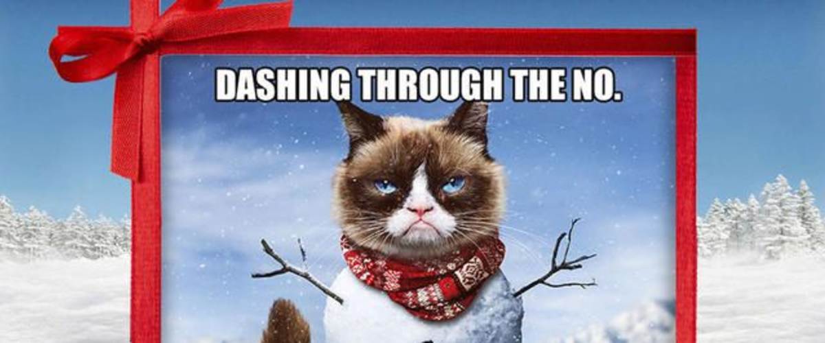 Watch Grumpy Cats Worst Christmas Ever